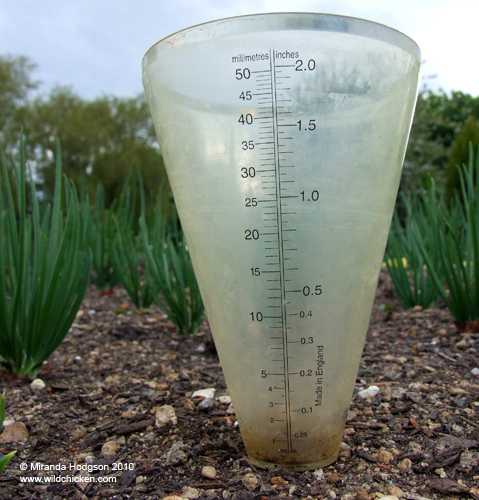 Rain gauge