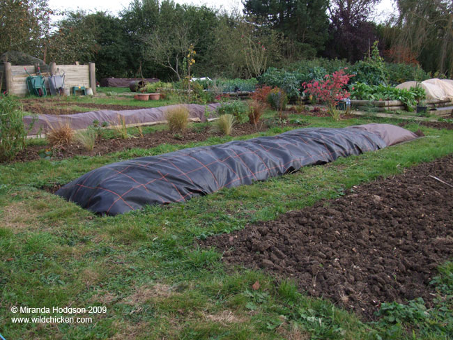 Covered with horticultural fabric