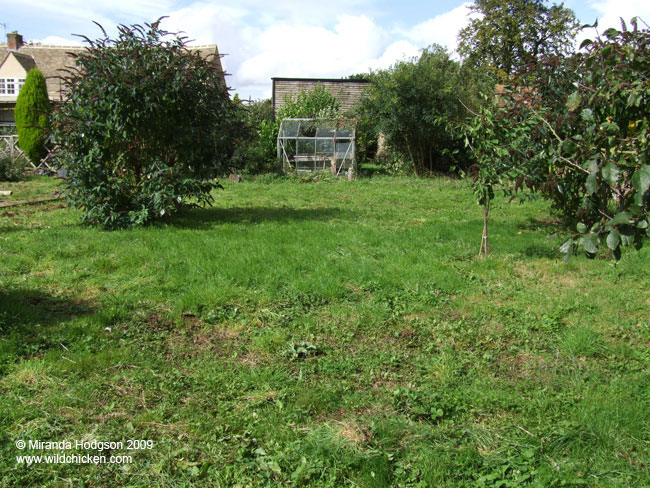 The grassy area