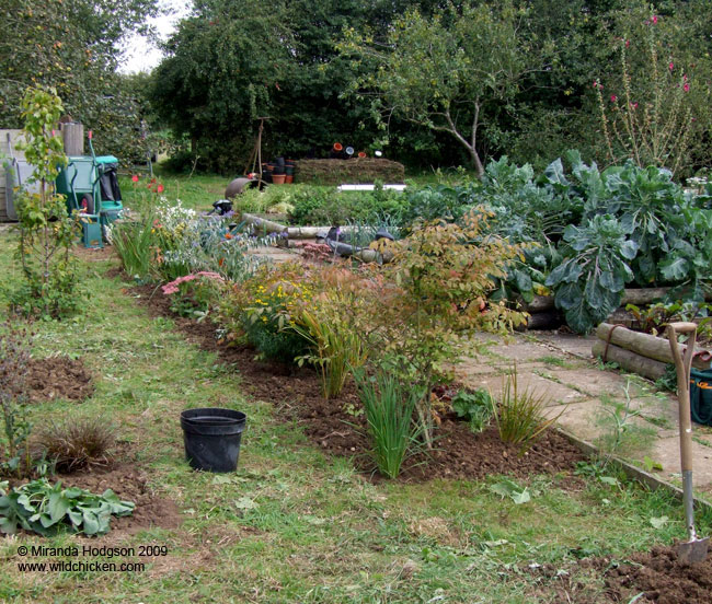 Ornamental plant border