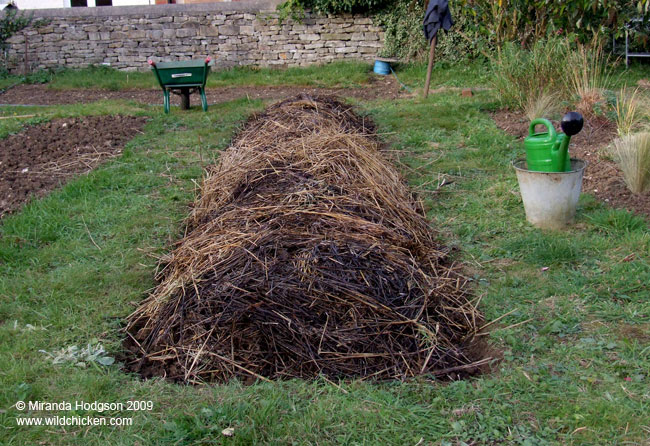 Bed covered in straw