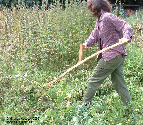 Scything nettles