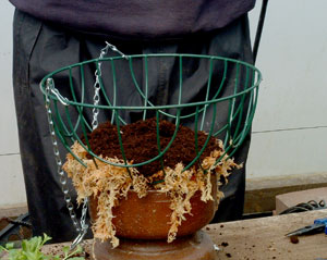 First layer of compost