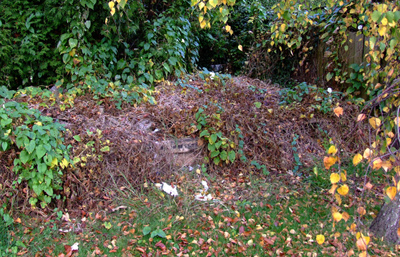 The compost heap