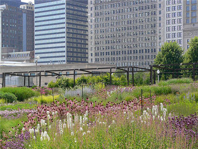 Lurie Garden, Chicago