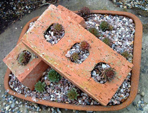 planted bricks