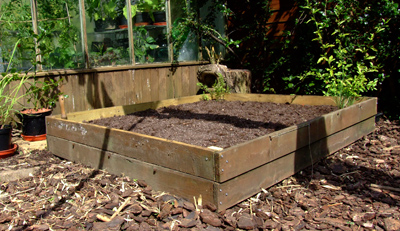 New raised bed