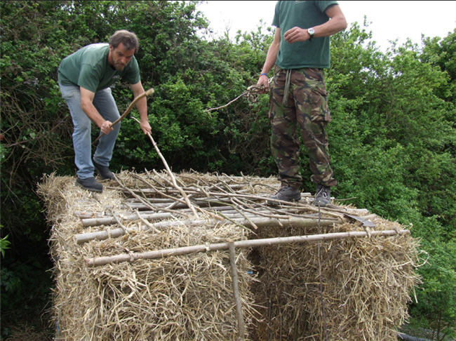 Roof wood