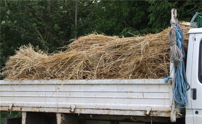 Straw bundles