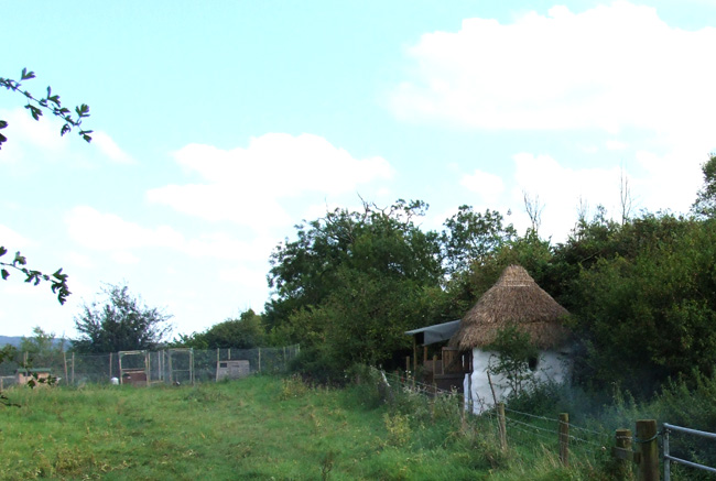 Toilet in the distance