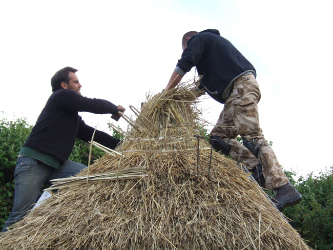 Finishing the roof thatch