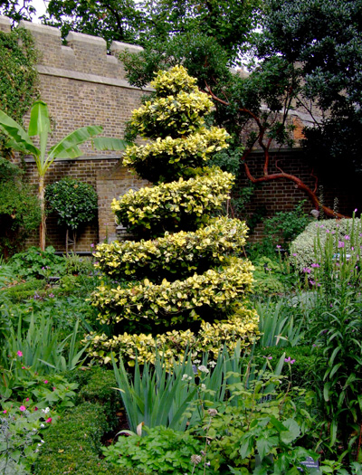 Topiary at the Museum of Garden History