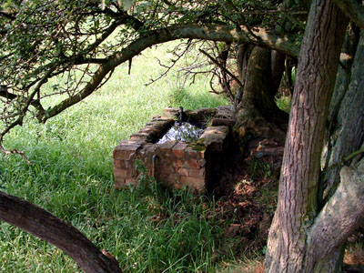 water trough